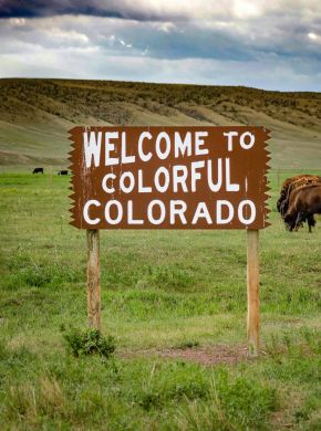 A "Welcome to Colorful Colorado" sign stands in a grassy field with buffalo grazing in the background.