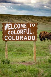 A "Welcome to Colorful Colorado" sign stands in a grassy field with buffalo grazing in the background.